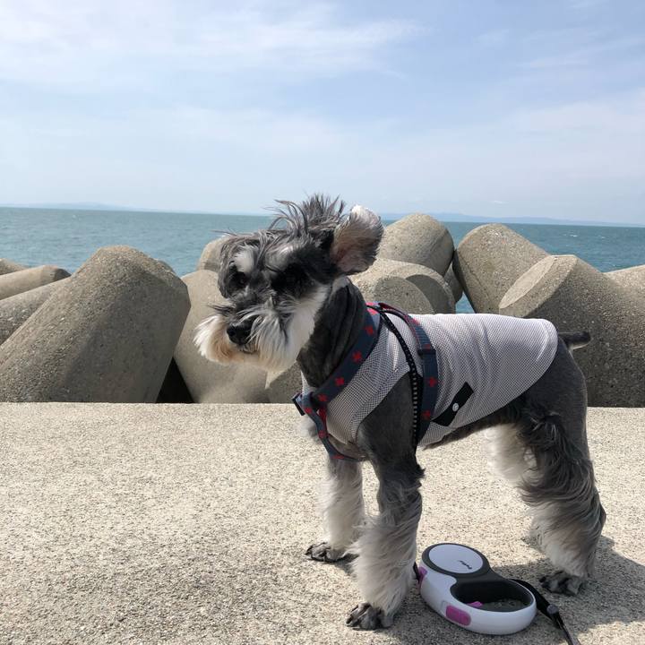 39a5cd2f 021c 4680 86e0 e770cb1f61ab 1651320777556