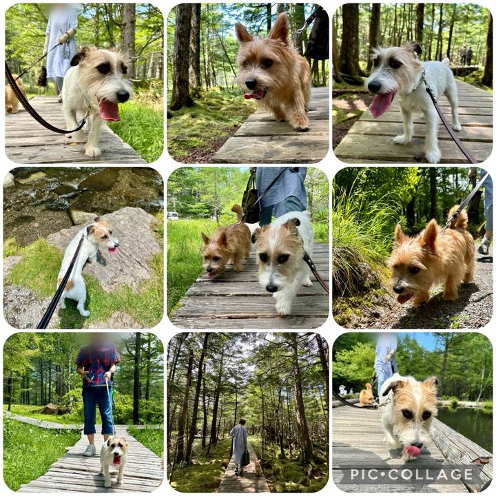 39a5cfbe 72ff 4b13 b04c 3eab48ffd37b 1722692796226