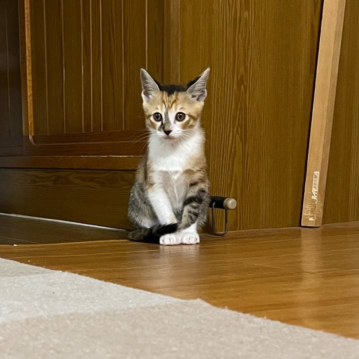 39a5d0ed d0ac 4c8d 99ae 6db636c95183 1652760674295