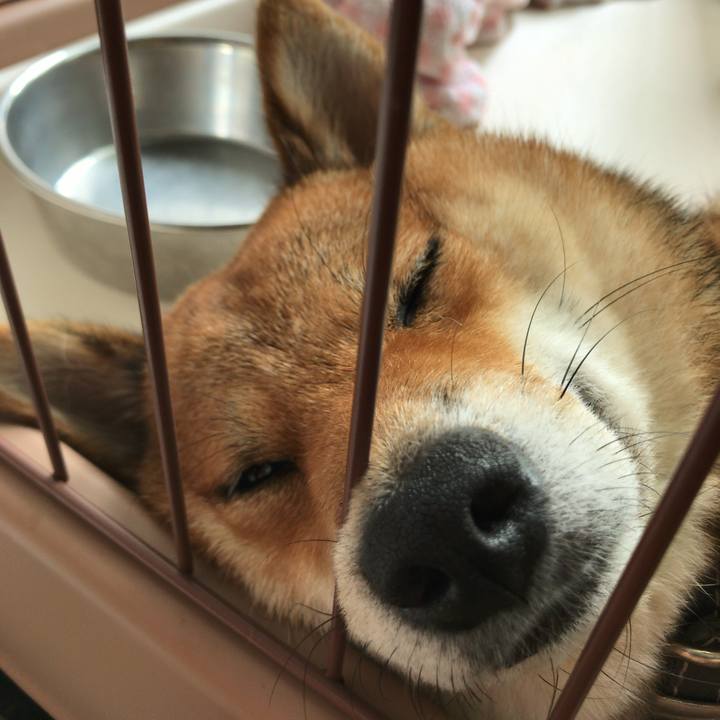 39a60e0a 13ce 450b a715 854570376644 1531350413805