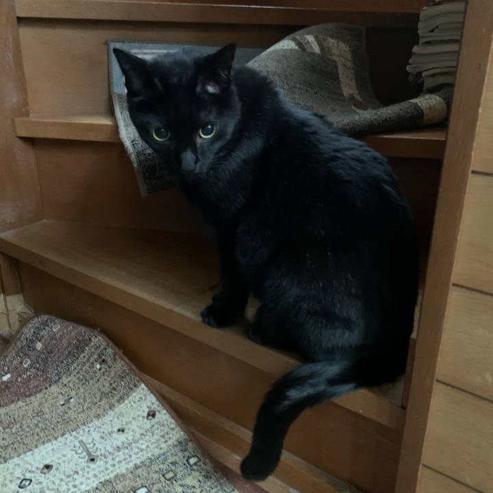 39a6d4ae f0fc 46b5 9c91 001ffede0b7f 1584147238442