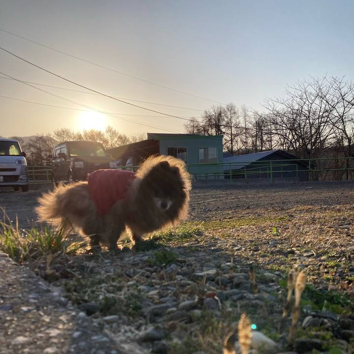 39a6ddae 6073 48ab 99be 6ca20020bcae 1712783669972