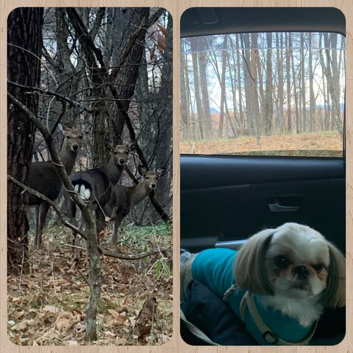 39a6e57f 4a2e 4775 96bf 7cebc77b0325 1668928614455