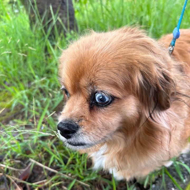 39a6e819 beb8 47b2 9de0 4e16a07894ea 1684024196173