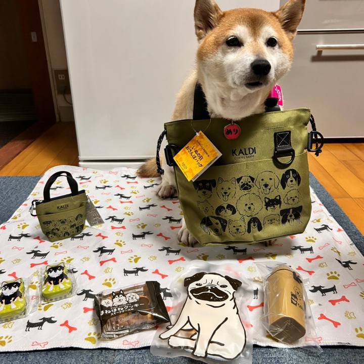 39a6f2d5 aaf1 4bdc a218 91716204907b 1730449179308