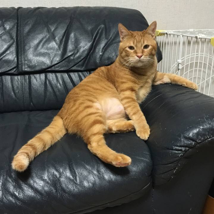 39a70b29 191c 46e4 b994 e8c4cf769633 1546254813542