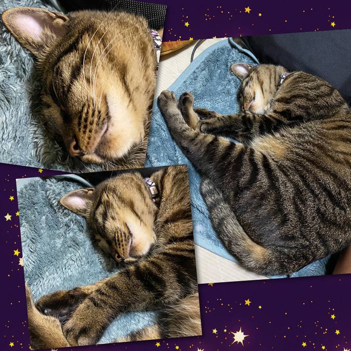 39a72a2e dec6 4137 930e e1130f7b2680 1581884494972