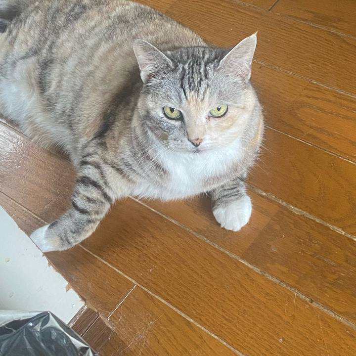 39a7331f 778a 4e3b 8106 c5fcedfdfb37 1749713120052