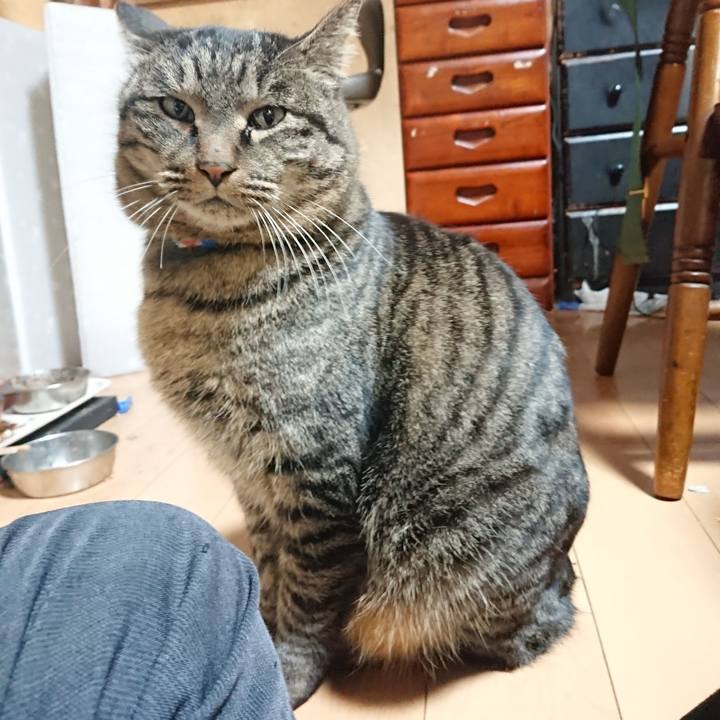 39a74022 7d9d 481f 95c9 292e8eb9e68d 1641549271715