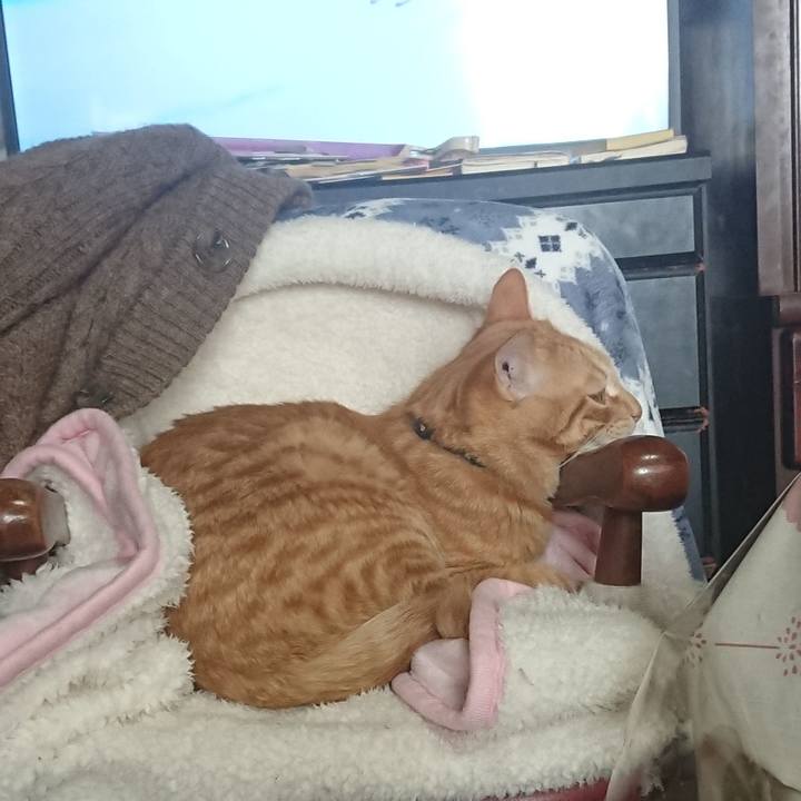 39a74f56 9a93 42a6 884f 26c6422be2f8 1645073425285