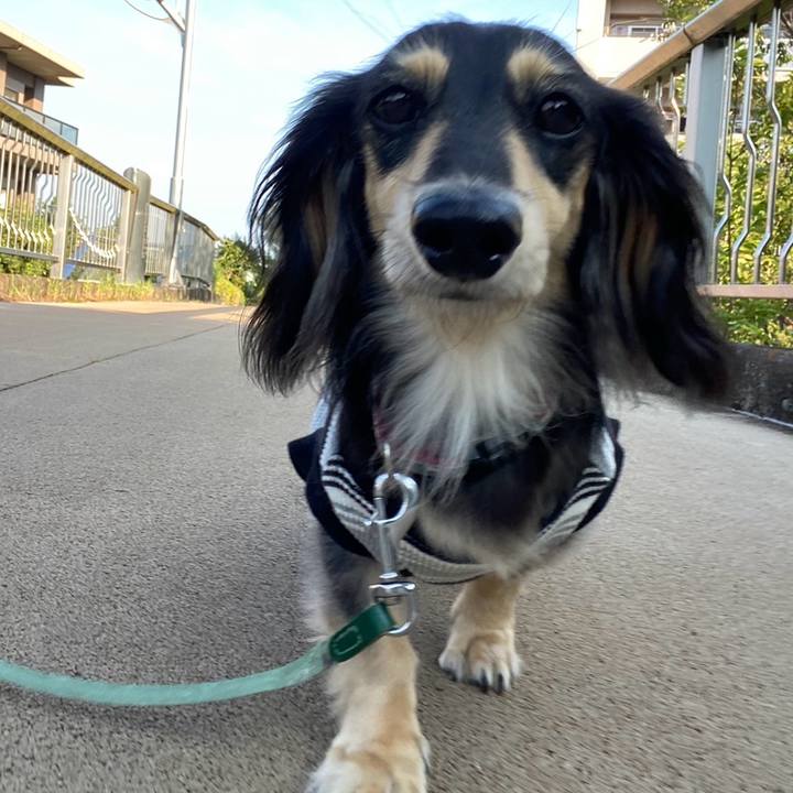 39a77a24 6f68 4077 b24b 97743ef8bfc4 1755644721963