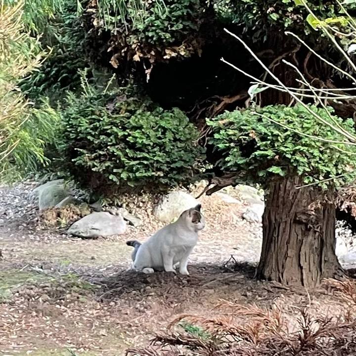 39a7df39 5e44 486c 9f18 cc759bdf4c1d 1636281658457