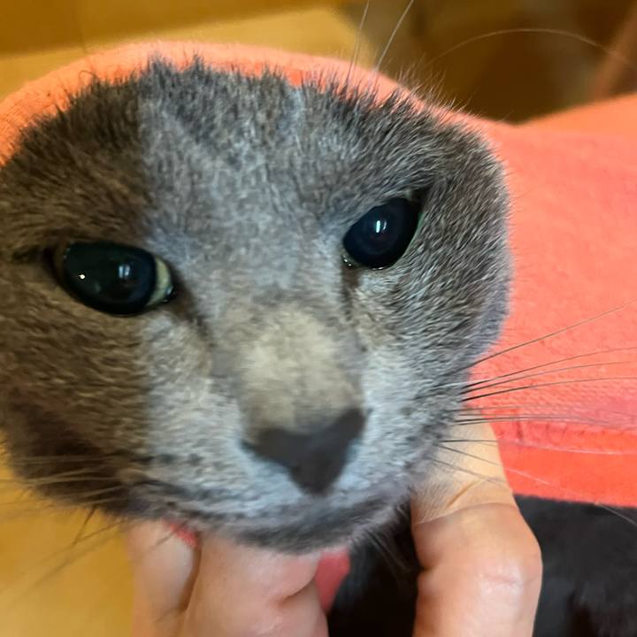 39a7fcf9 6740 43b7 9e57 bff5eda059f6 1668662548086