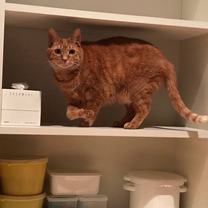 39a80b78 996a 4110 a54f 36f97734b0cb 1585467564030