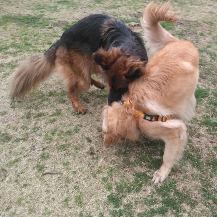 39a82085 0ea6 4674 98db 546c9a259770 1584253639570