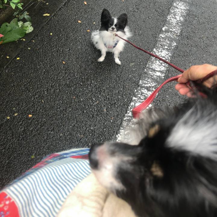 39a827fe 123d 451f 8971 e4dd41dc3f7d 1538271254354