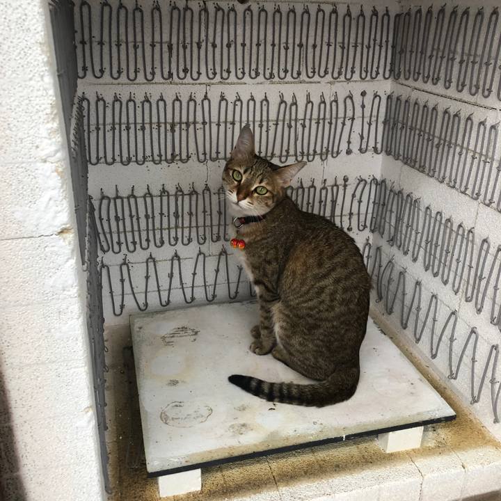 39a829b1 6bcc 4a83 b9fb e285b29ad068 1654667998983