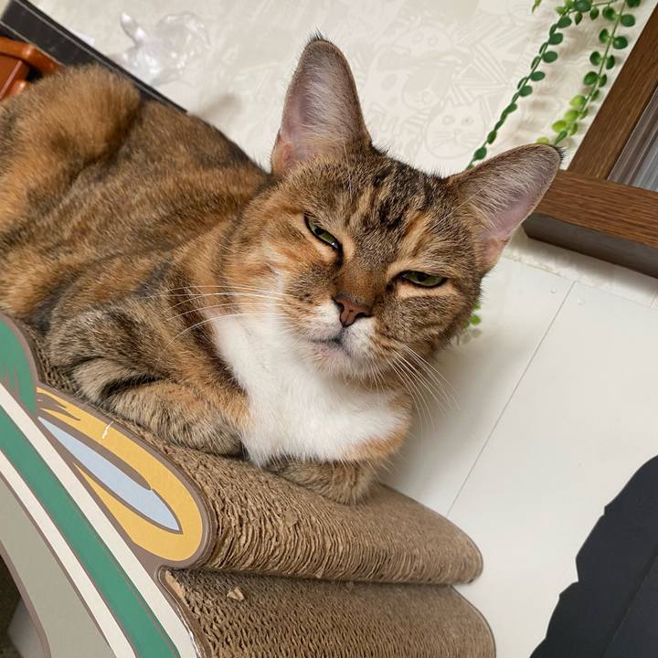 39a86ace fd0b 437d b1da 980a842d8d98 1632351396701