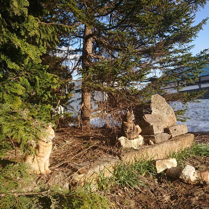 39a86fff a00a 42a1 ad9d 51d8d3bc6d02 1649145662402