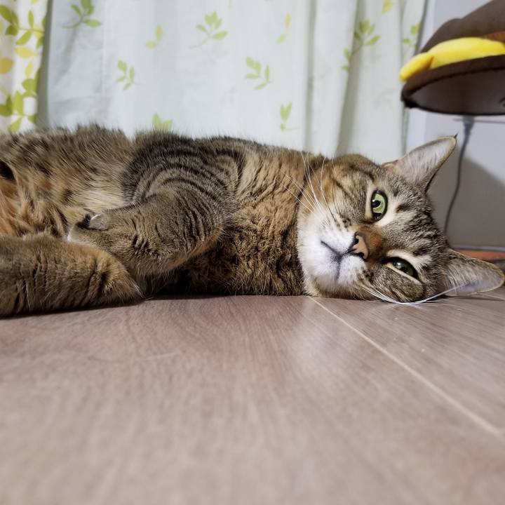 39a8a301 e6b5 49b4 a7af 0e638f928b97 1610452432558