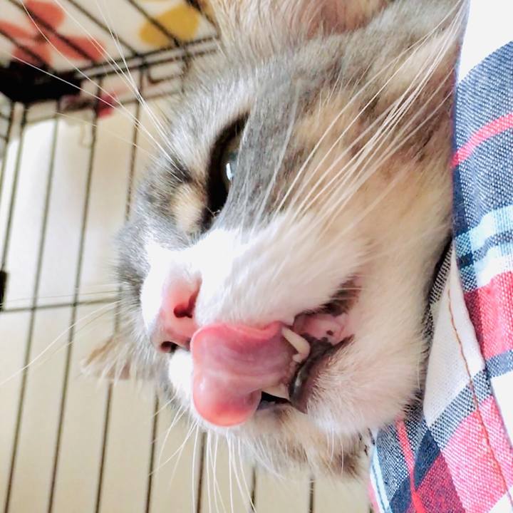 39a8f722 bce9 4b2d 811f aac9afd3f3f4 1565113483518