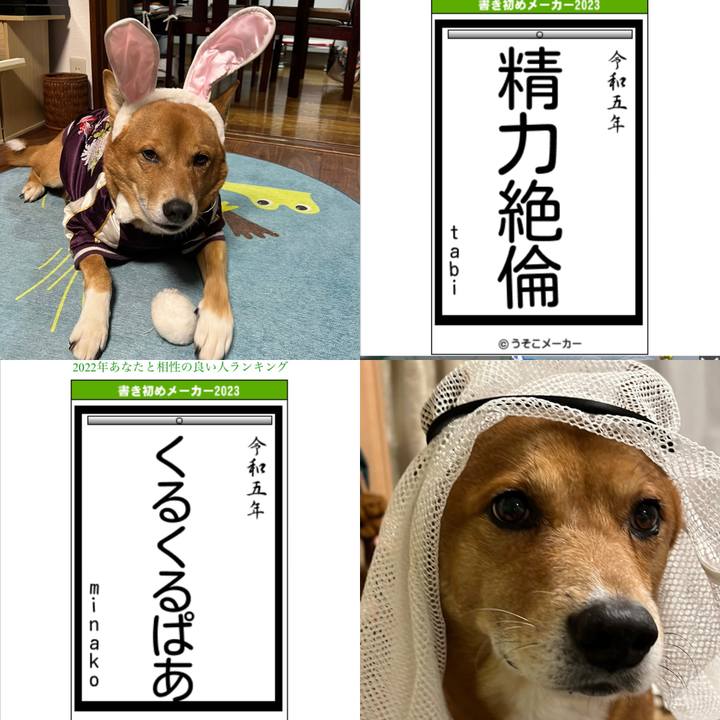 39a90acd b26e 4bd9 8668 410759b45f09 1672831829926