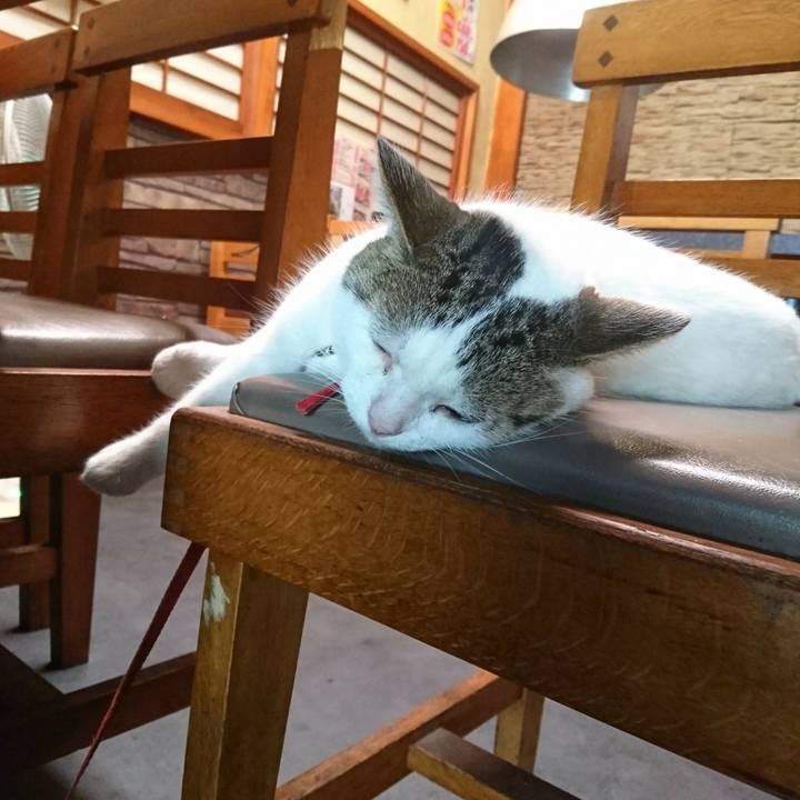 39a91730 c713 4d58 9eb9 83adf9d967e3 1534224679182