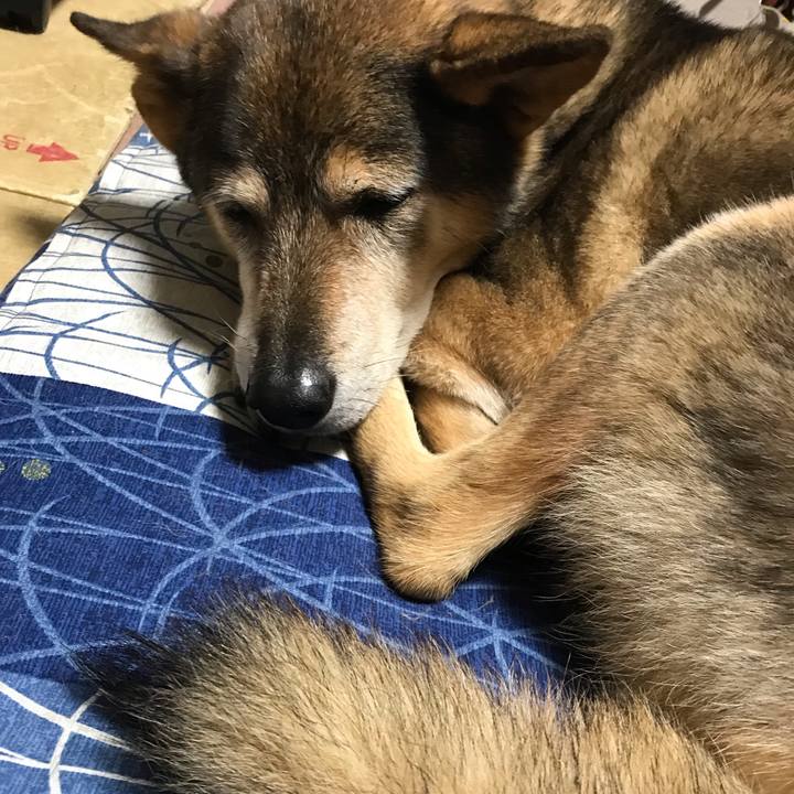 39a92288 23ce 487b acd1 64bd93aeae29 1540102631211