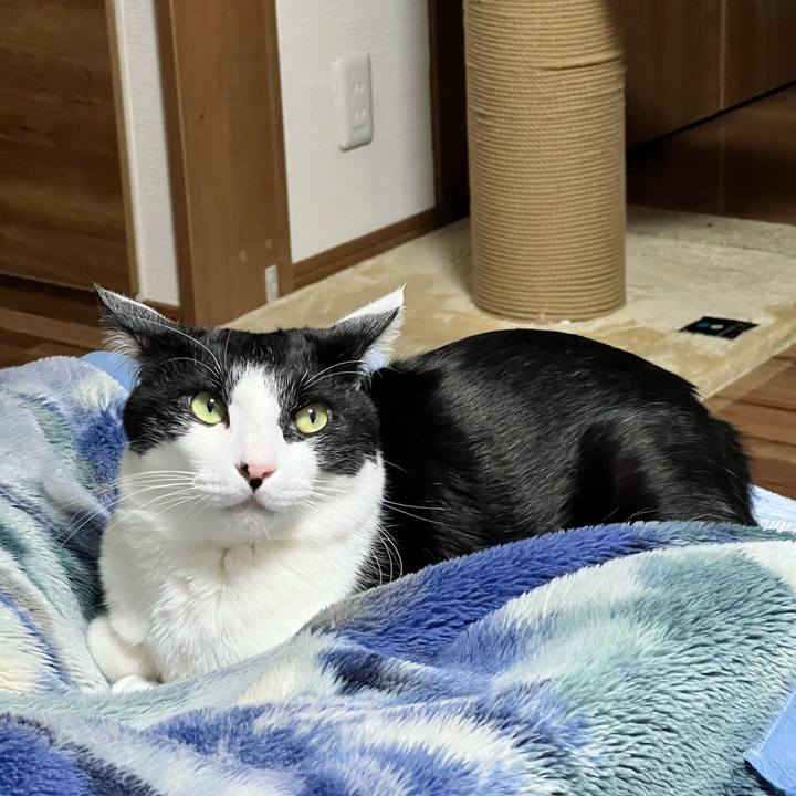 39a9549e 4368 4057 928f 75c0d655bf26 1765097246138