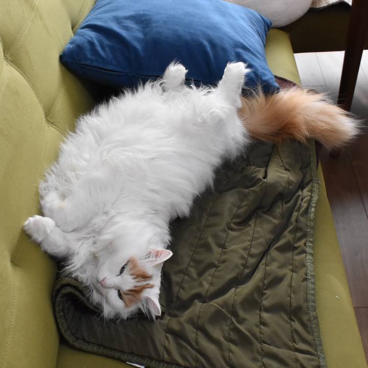 39a95b8f bf6f 468f 86d5 b2ce7e67517a 1765424430639