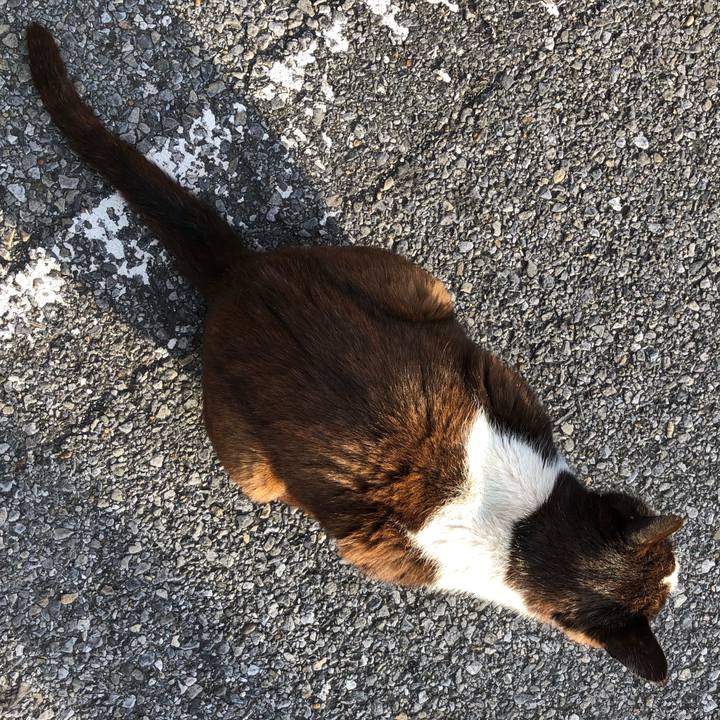 39a96abc 4b89 4ce7 b603 1b487c179250 1554080214295