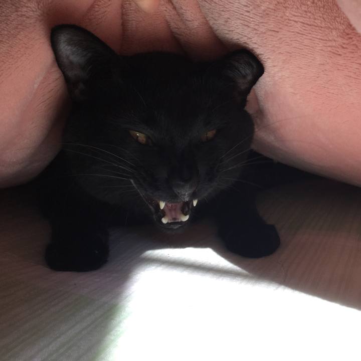 39a98135 51c3 4314 b827 17cf7f349d27 1520134080249