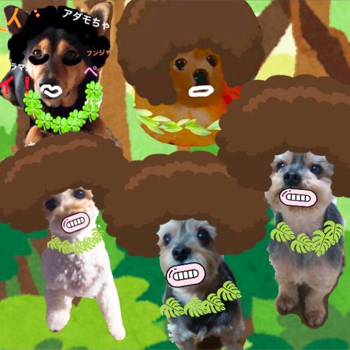 39a9843a 805f 434a 90cc f9a591eeca9e 1536476505454