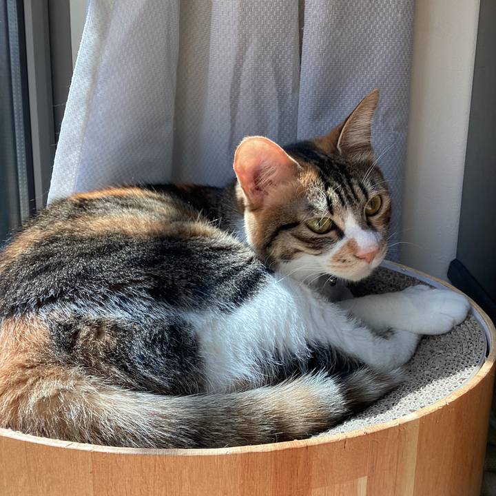 39a9a871 9f0e 42ec 925e 2c7c7e4c2b40 1680328901269