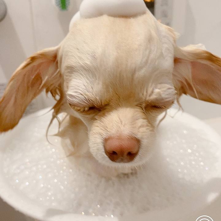 39aa3458 c663 42b2 b00f 57edc045ebcd 1616211247870