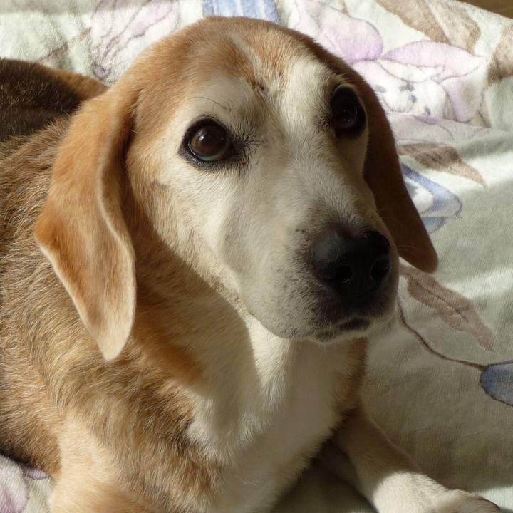 39aa535b 9ac9 4fb8 95bb edc21709f944 1703033564522