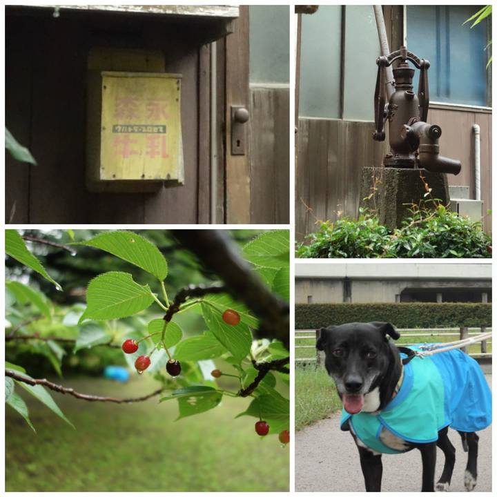 39aa5983 4e70 4b3f aa03 f2f680075732 1685322485020