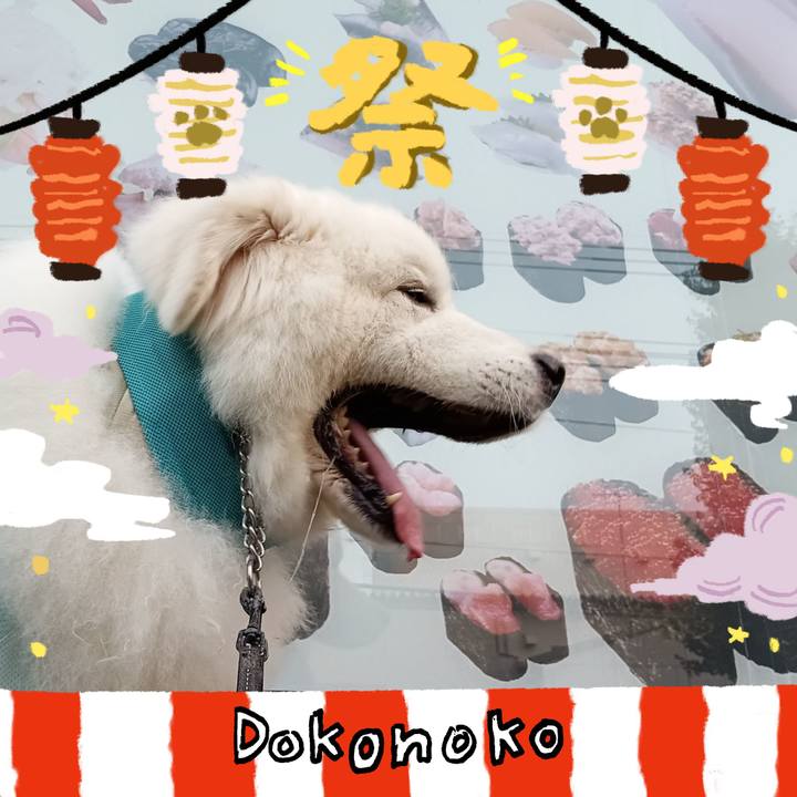 39aadb69 df3f 4df4 868c 97ec9573220c 1723584672721