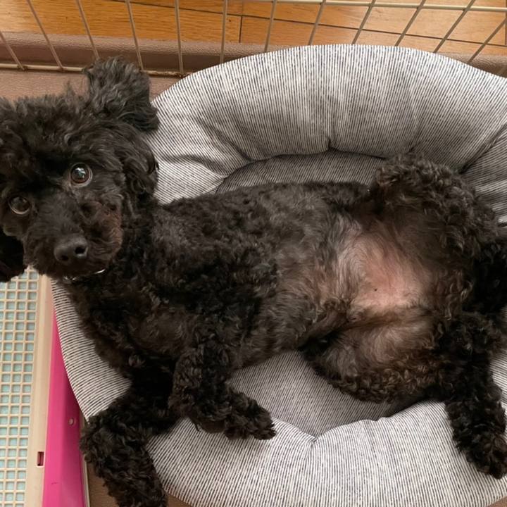 39aae025 45ea 4731 8c8f b6e6ef9e29ec 1622457474384