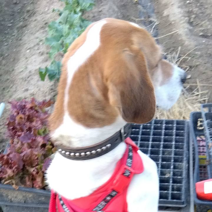 39ab2152 c8fb 4980 a837 8ae8c69c7f07 1699530970520