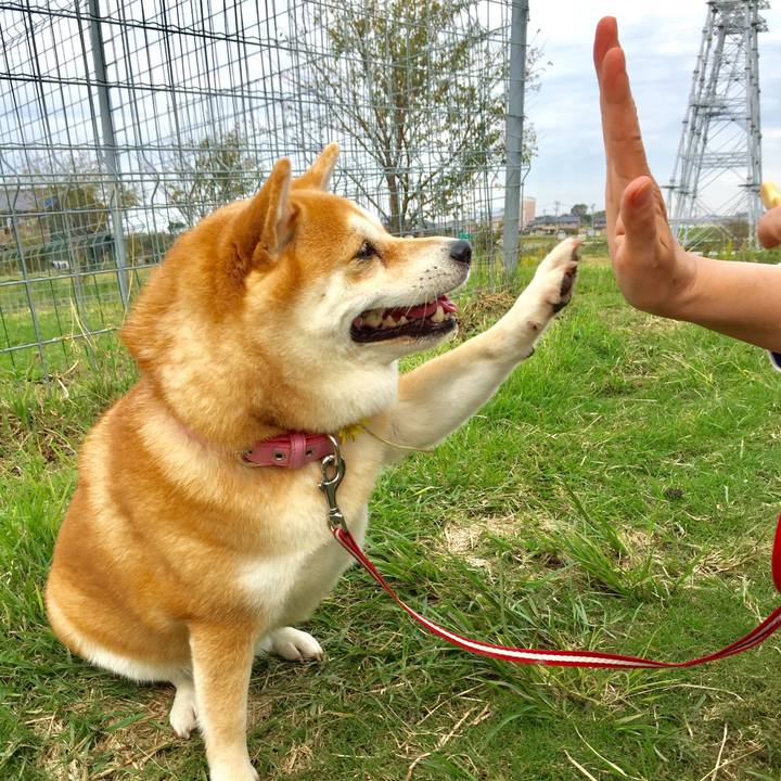 39ab2914 70e9 4ca7 801f ad60882ca6f3 1539486888883