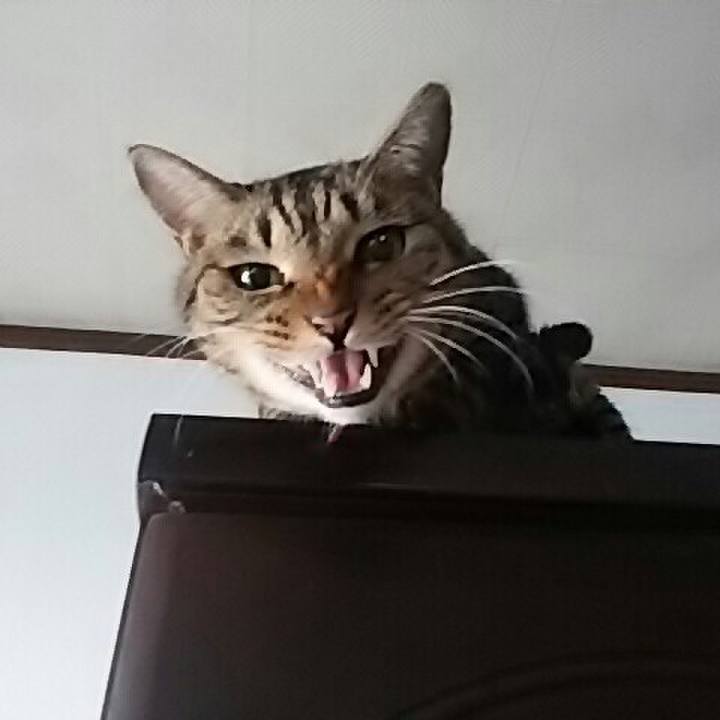 39ab2f56 dba9 4b78 b208 8590fea34371 1514035922268