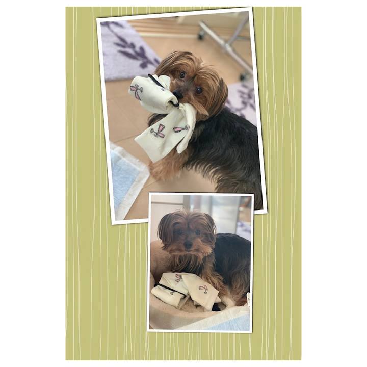 39ab66c8 efe4 42ed 8fc1 f8ef22e014ec 1547870469410