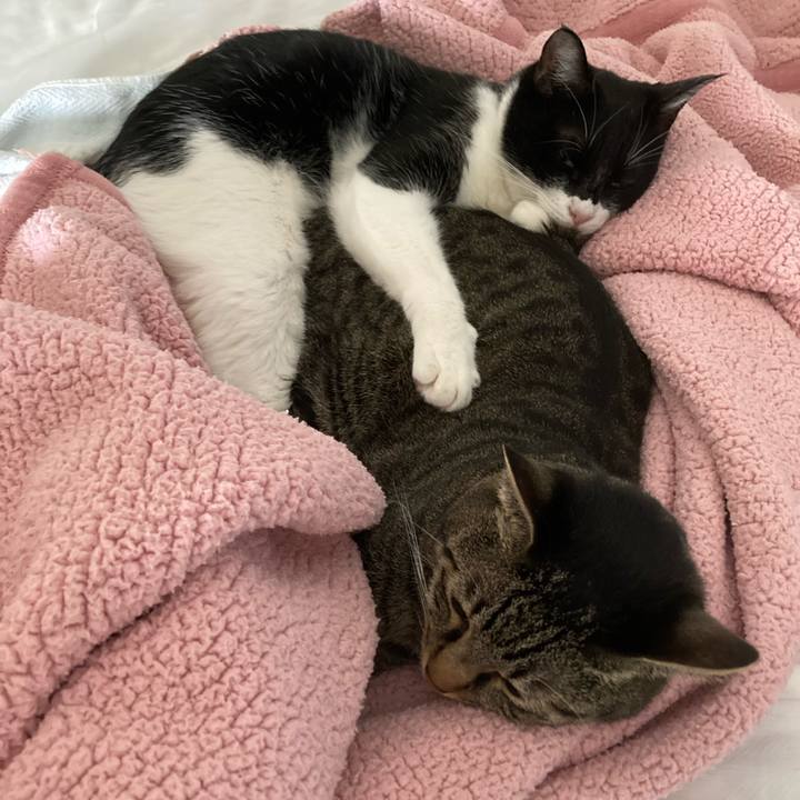 39ab9839 aede 4c16 887a 3c3667e30e18 1634866535670