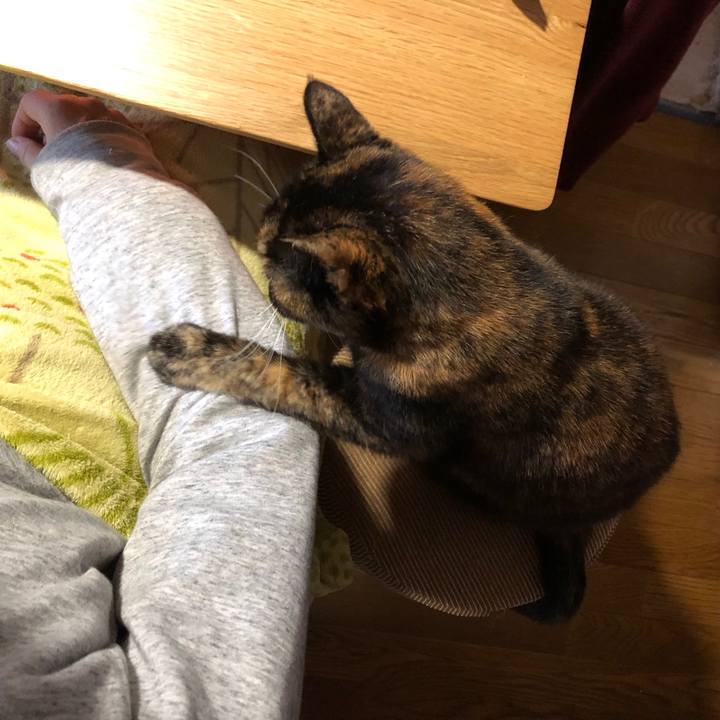 39abb5d9 a641 4ec0 af22 676ee2c16184 1677019171360