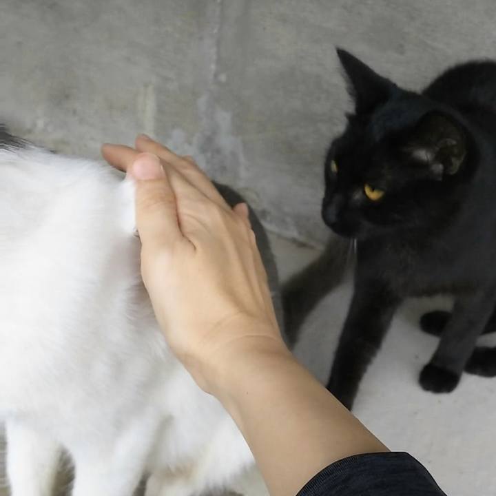 39abbbbb 8311 47d7 aad4 bc8f70db3e5b 1536927517881