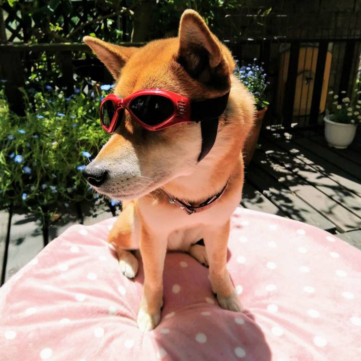 39abf545 73fd 4859 9047 fd147293bf45 1587264976909