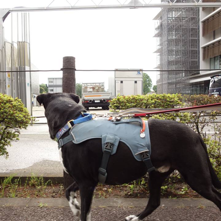 39ac0174 426e 452b 8f87 756c9ed654fe 1717634567265