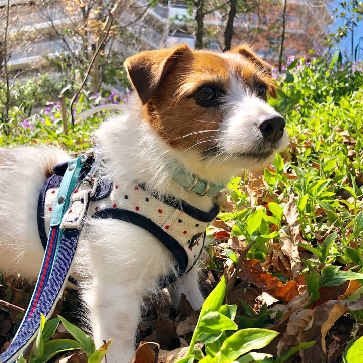 39acb7a5 87b5 44bb 8930 c62f9602c2de 1553399925943