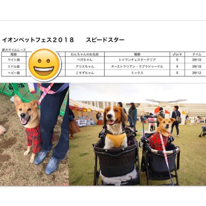 39accee1 5b96 452f 87f1 483ce8359648 1540831750504